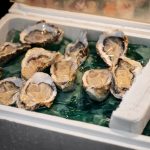 abalone