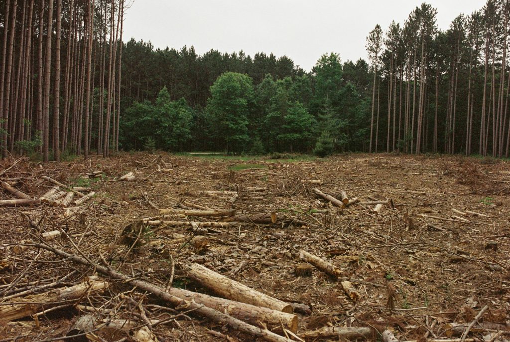 Perusakan hutan