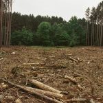 Perusakan hutan