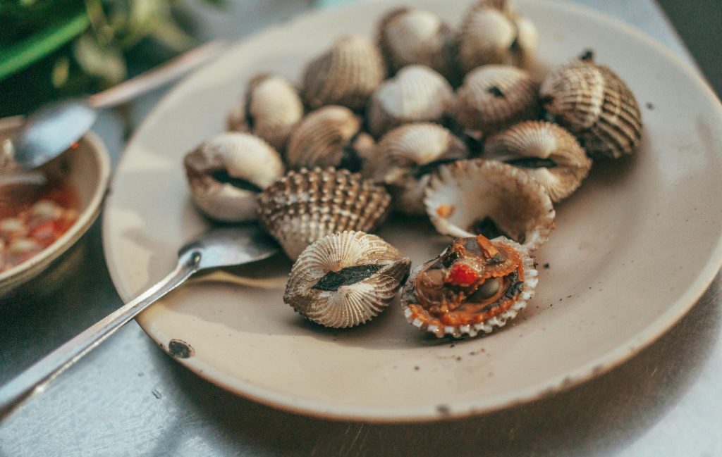 Jenis Kerang